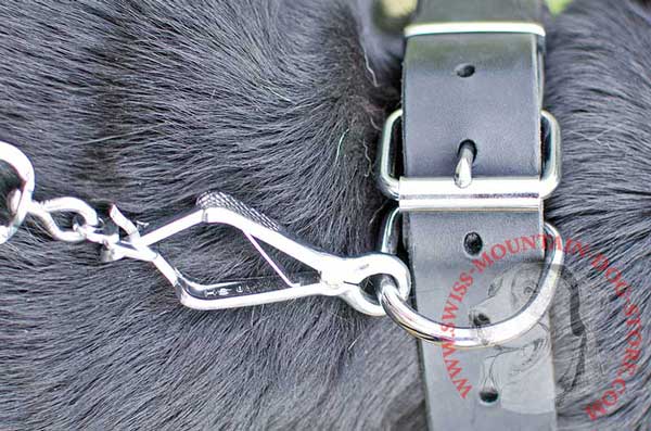 Solid Ring Non-Corrodible for Secure Leash Attachment